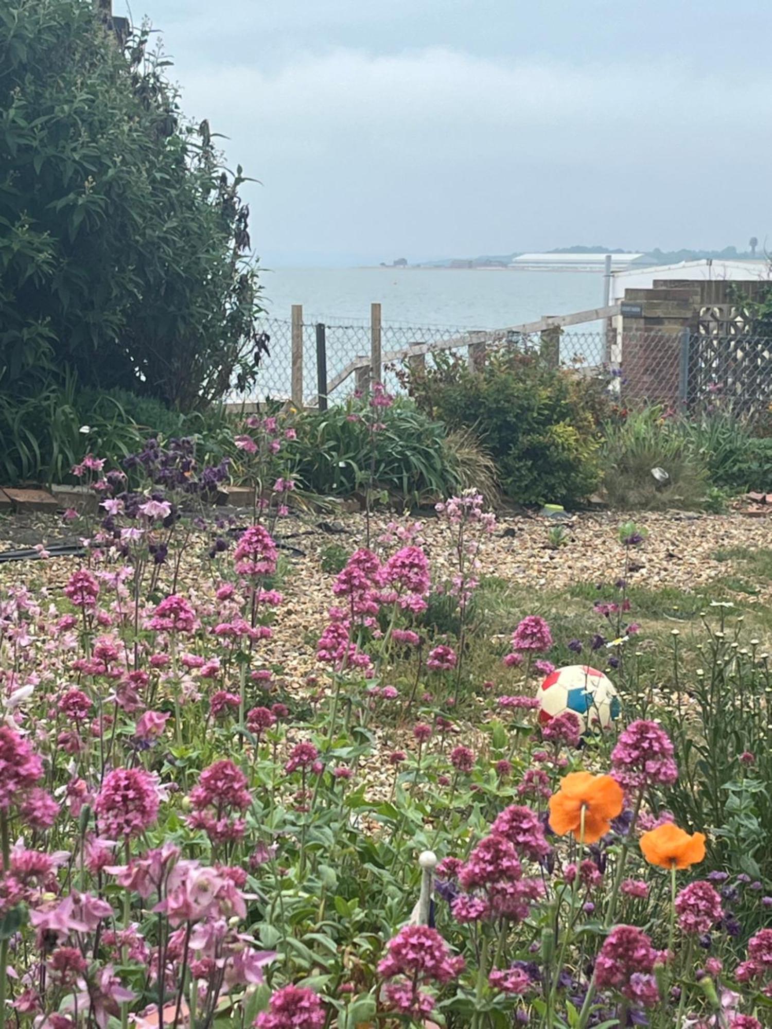 Cove Cott Guest Accommodation Warsash Екстериор снимка